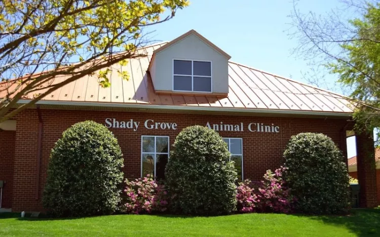 Shady Grove Animal Clinic, Virginia, Glen Allen